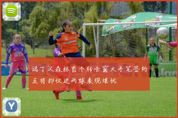 诺丁汉森林首个转会窗大手笔签约五将却仅进两球表现堪忧