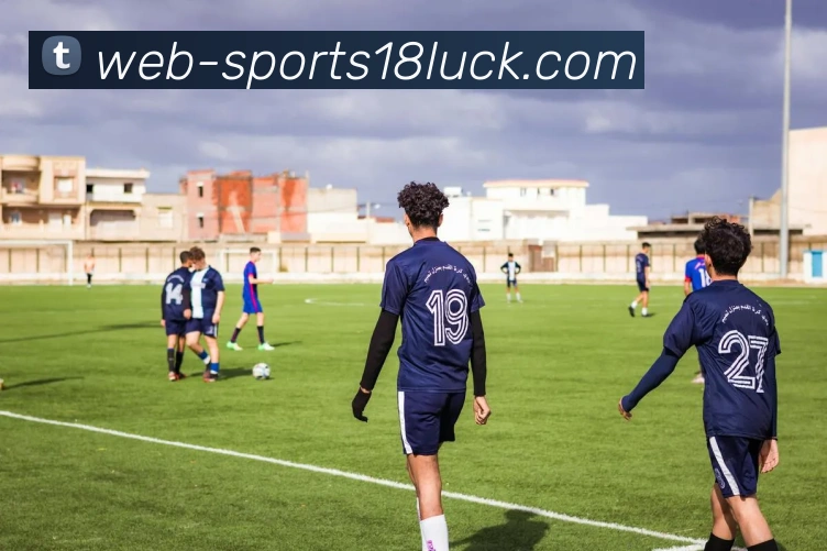 18新利体育平台生态图